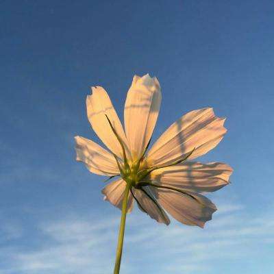 leyu·乐鱼(中国)体育官方网站