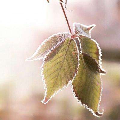 威尼斯wns·8885556